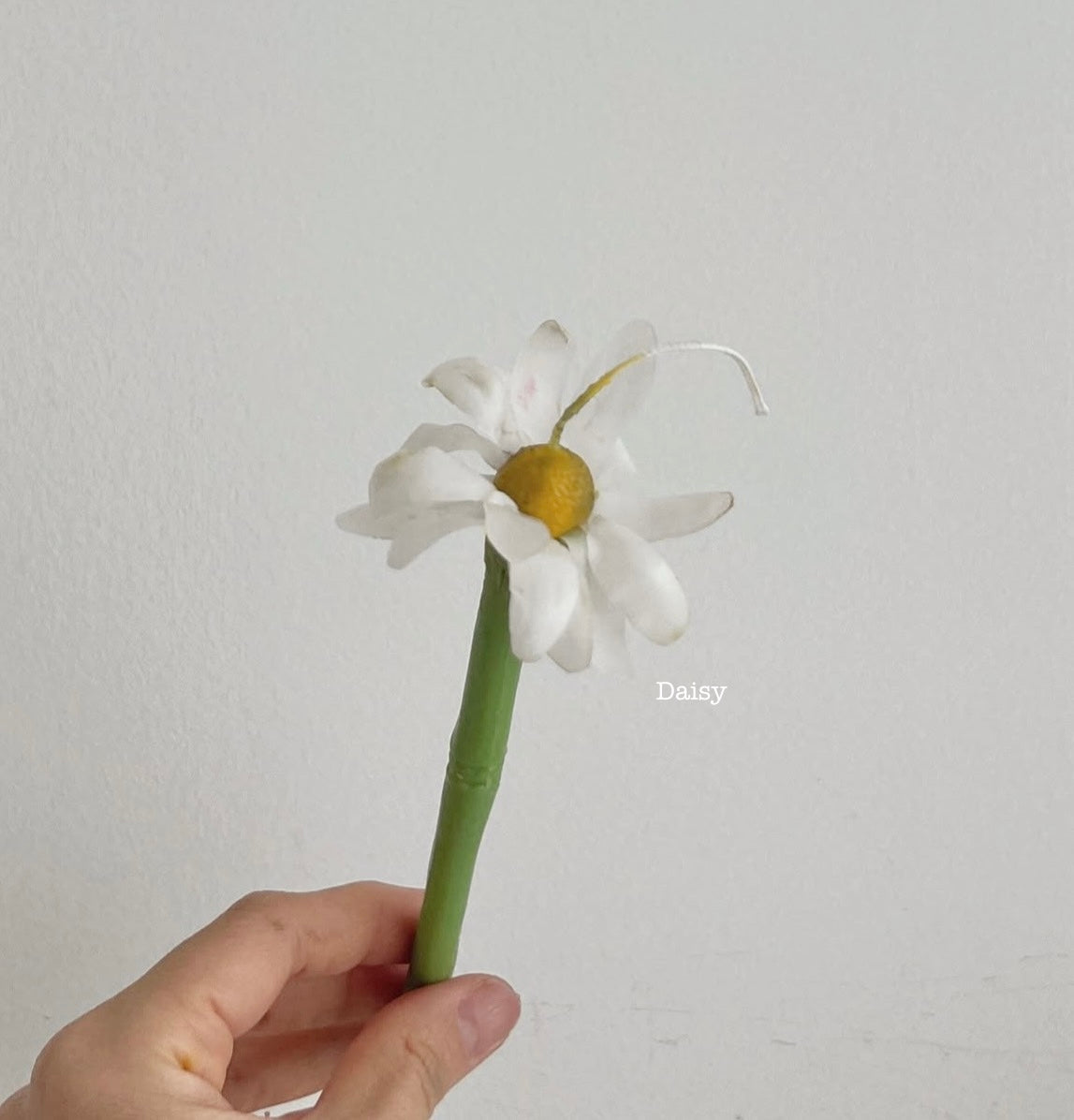 CNDLNYC | Real Flower Candle - Perfect Mother’s Day Gift for Her