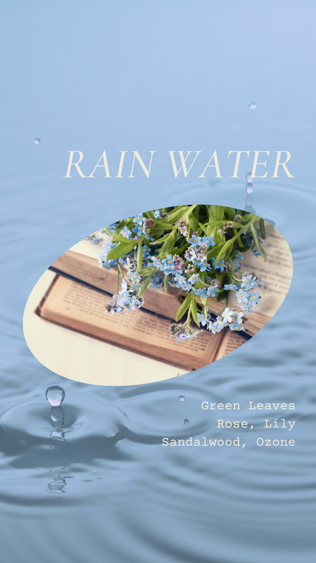 CNDLNYC | Wax Melts - RAIN WATER