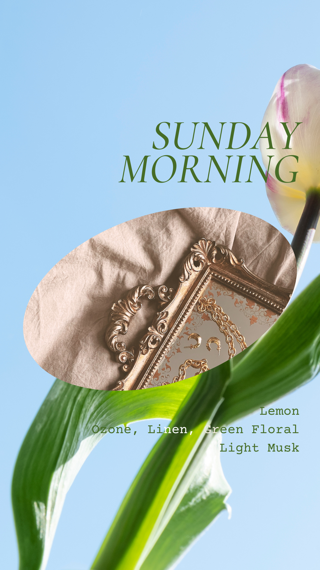 CNDLNYC | Wax Melts - SUNDAY MORNING