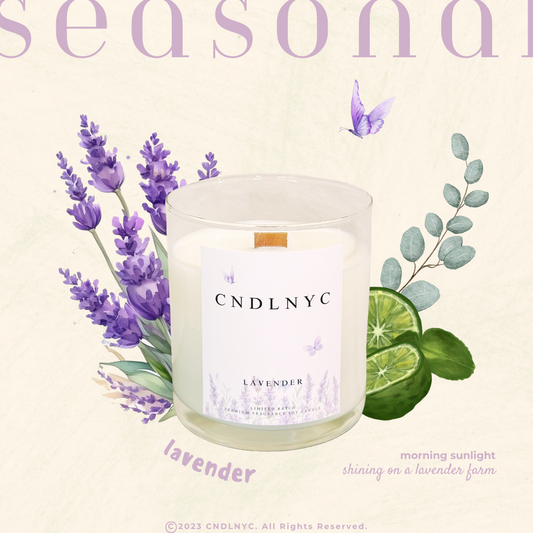 CNDLNYC | LAVENDER Soy Candle | 8.5oz. & 4.5oz. SEASONAL